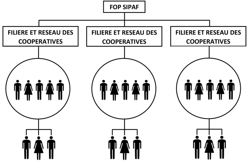Organigramme FOPSIPAF